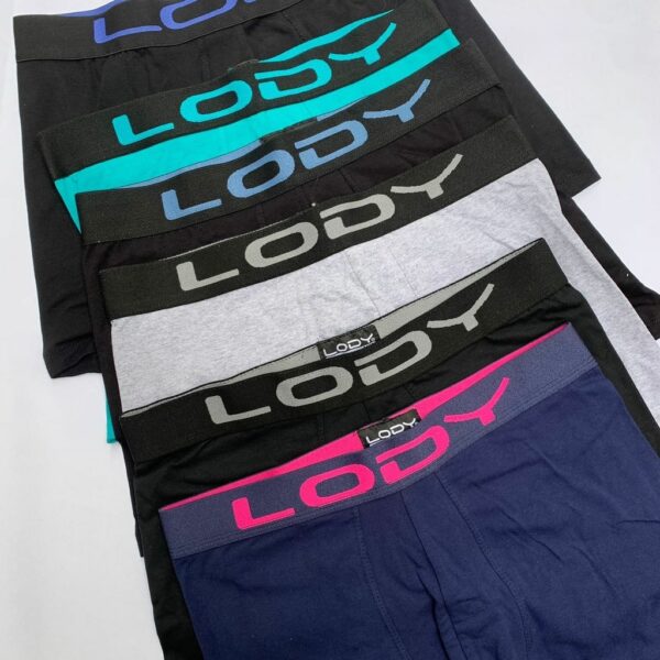 LY0742C - BOXER LODY LISO TALLE S-XL art.742 - Imagen 2