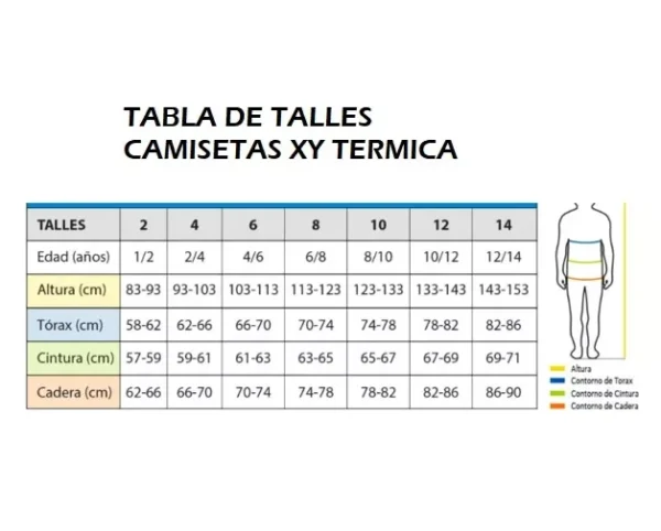 XY6051 - CAMISETA TERMICA NIÑOS CON OJAL T2-14 XY - Imagen 2